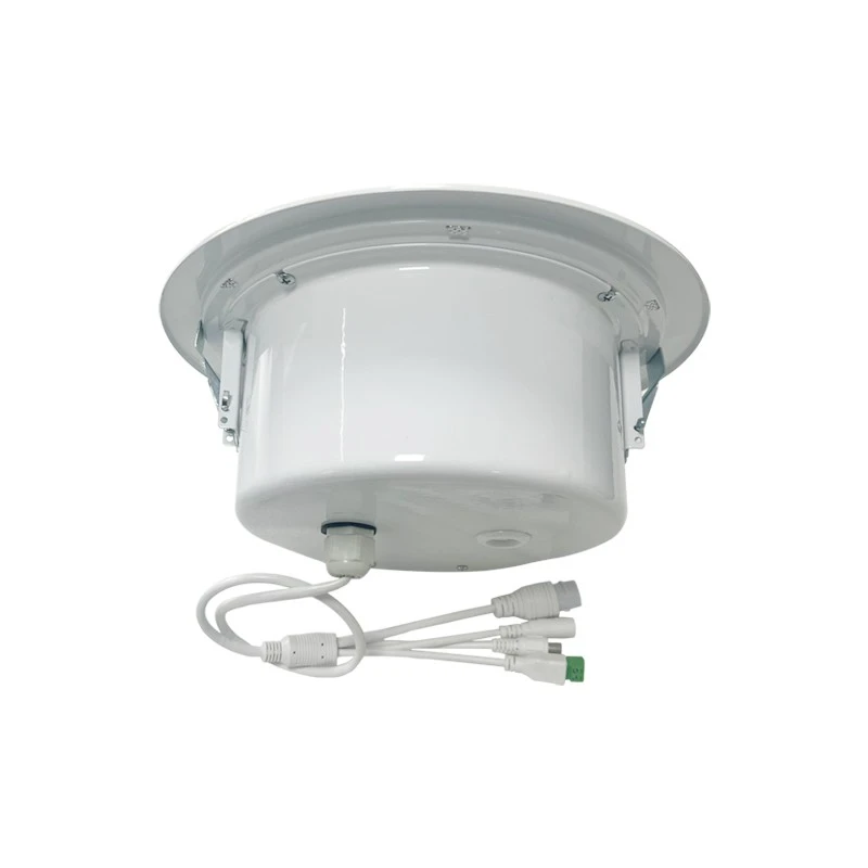 ceiling speakers commercial
